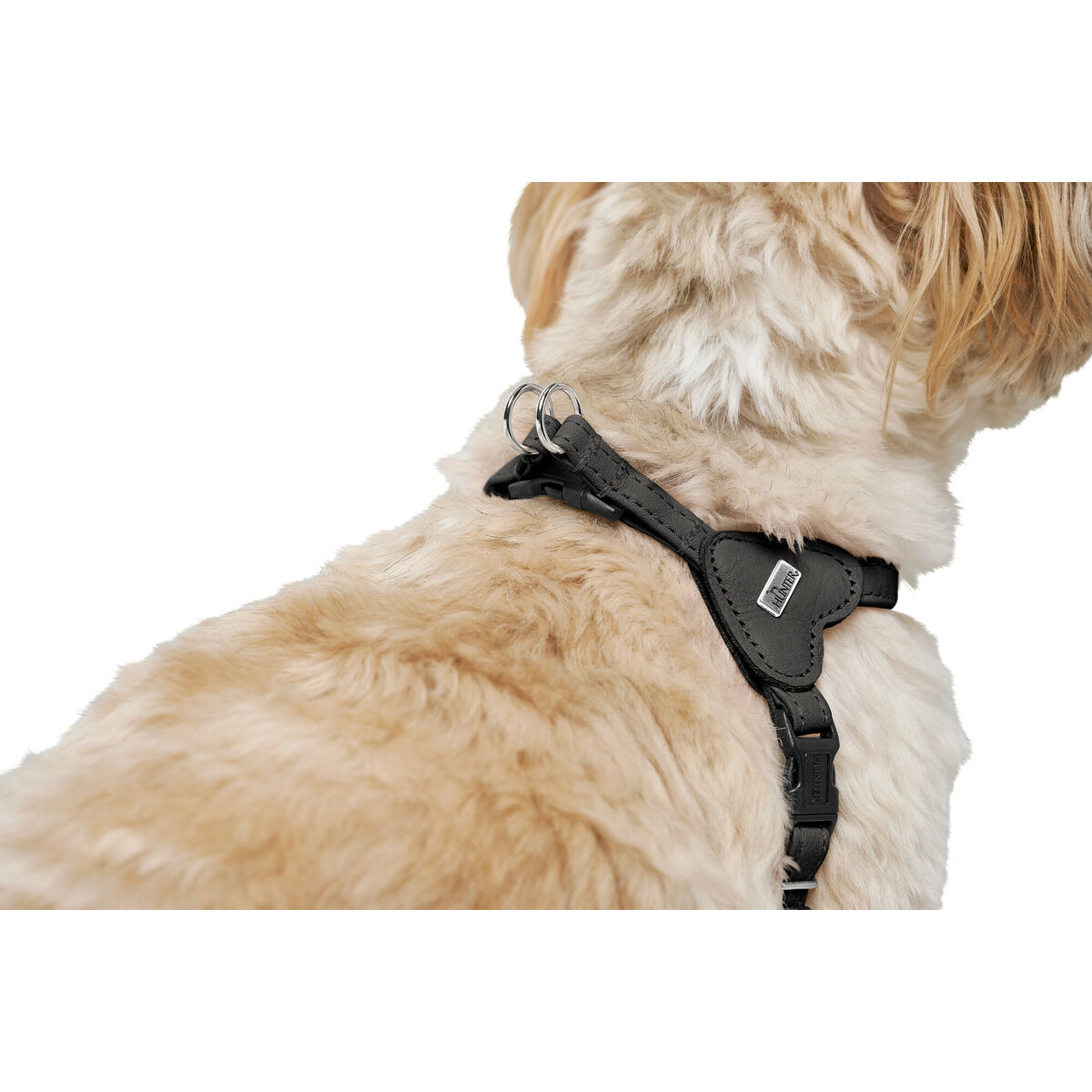 Hundesele Hunter SOHO MINI Sort